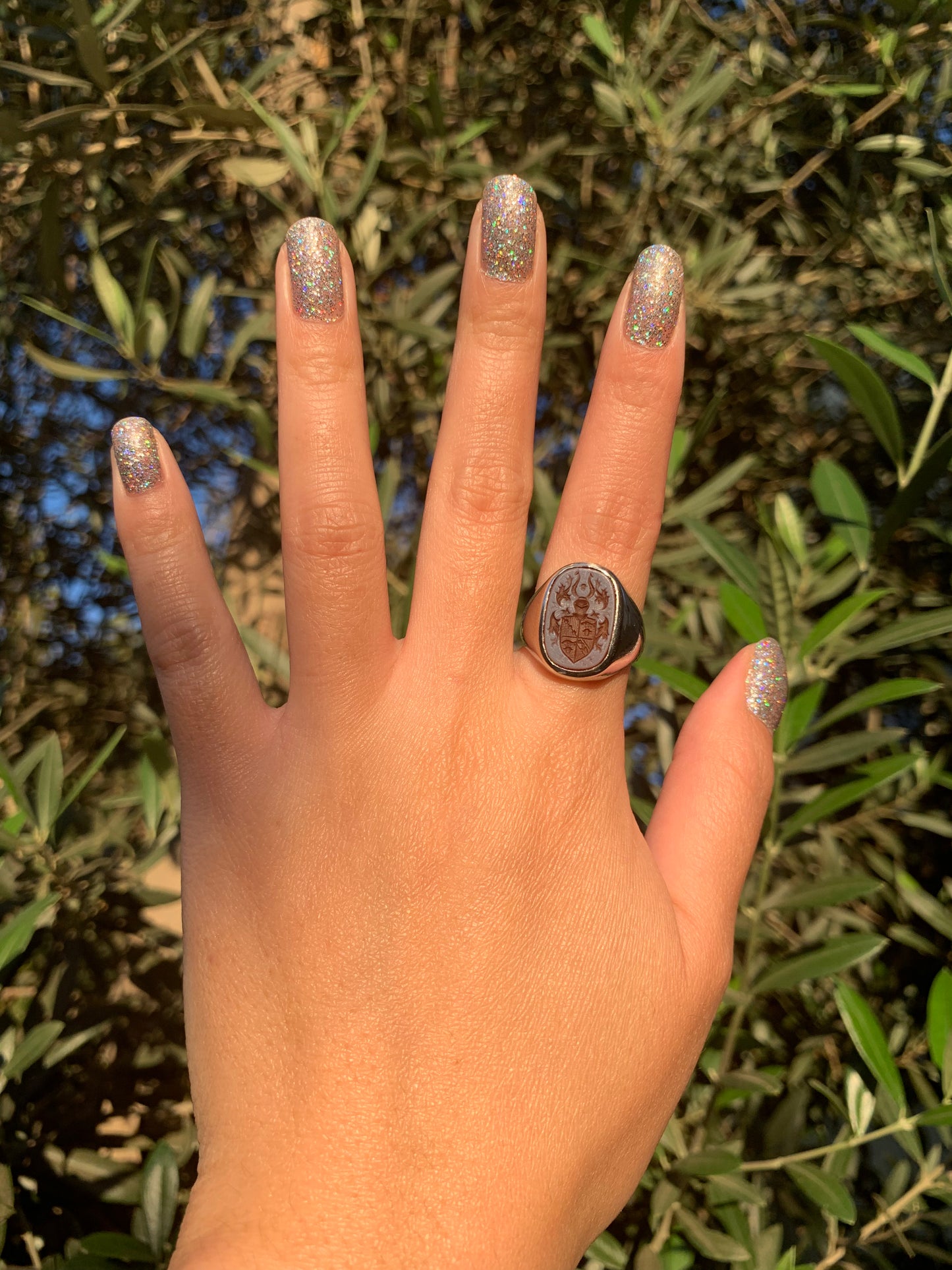 "Legend" 14k white gold heraldic sardonyx signet (vintage, only one available)