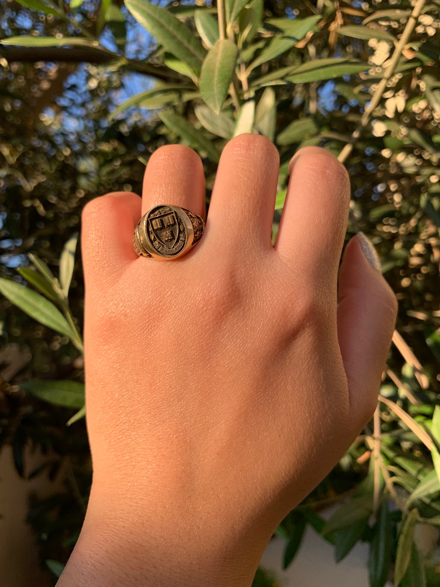 Harvard 14k yellow gold signet ring antique-finish (vintage, only one available)