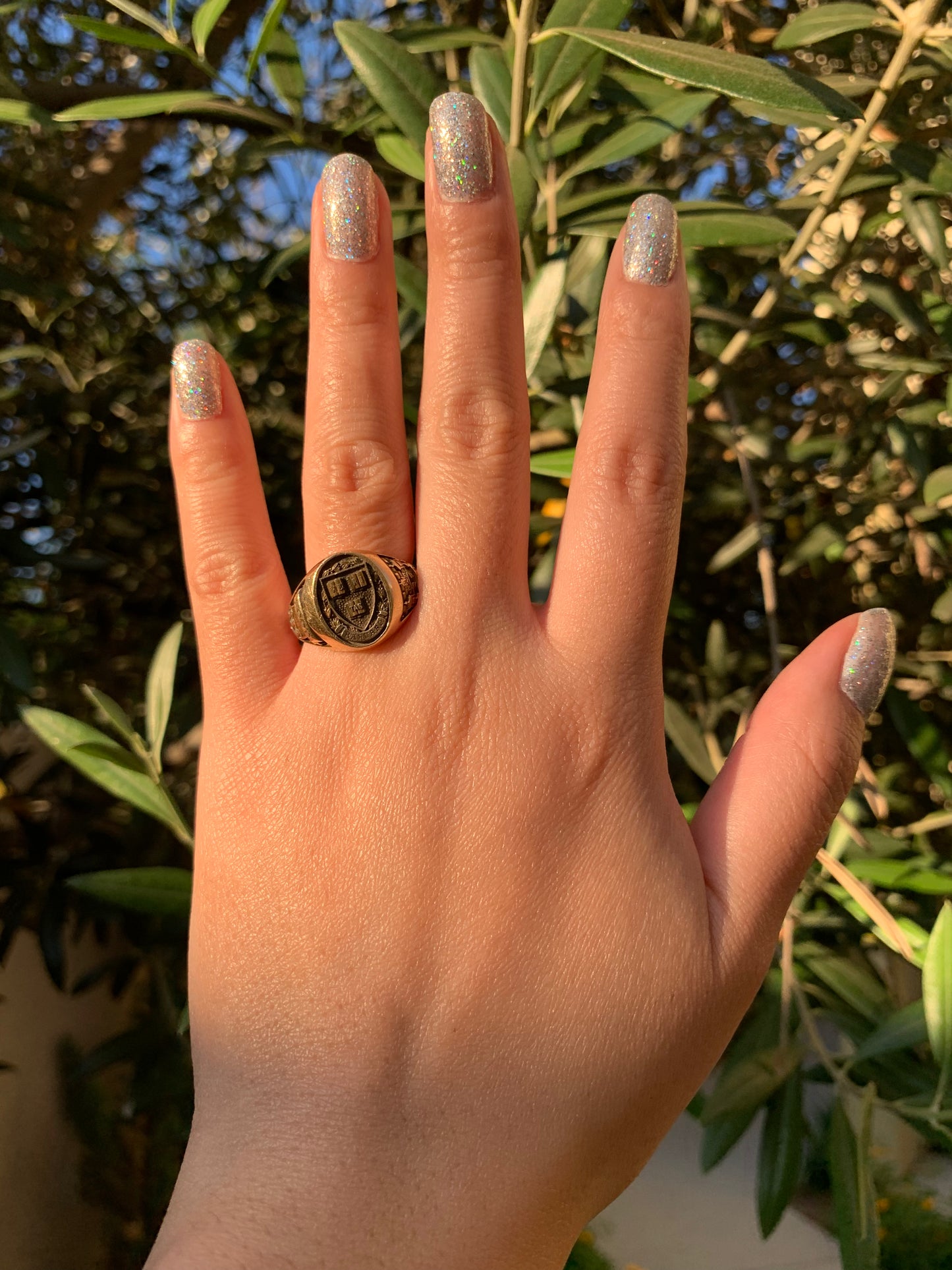 Harvard 14k yellow gold signet ring antique-finish (vintage, only one available)
