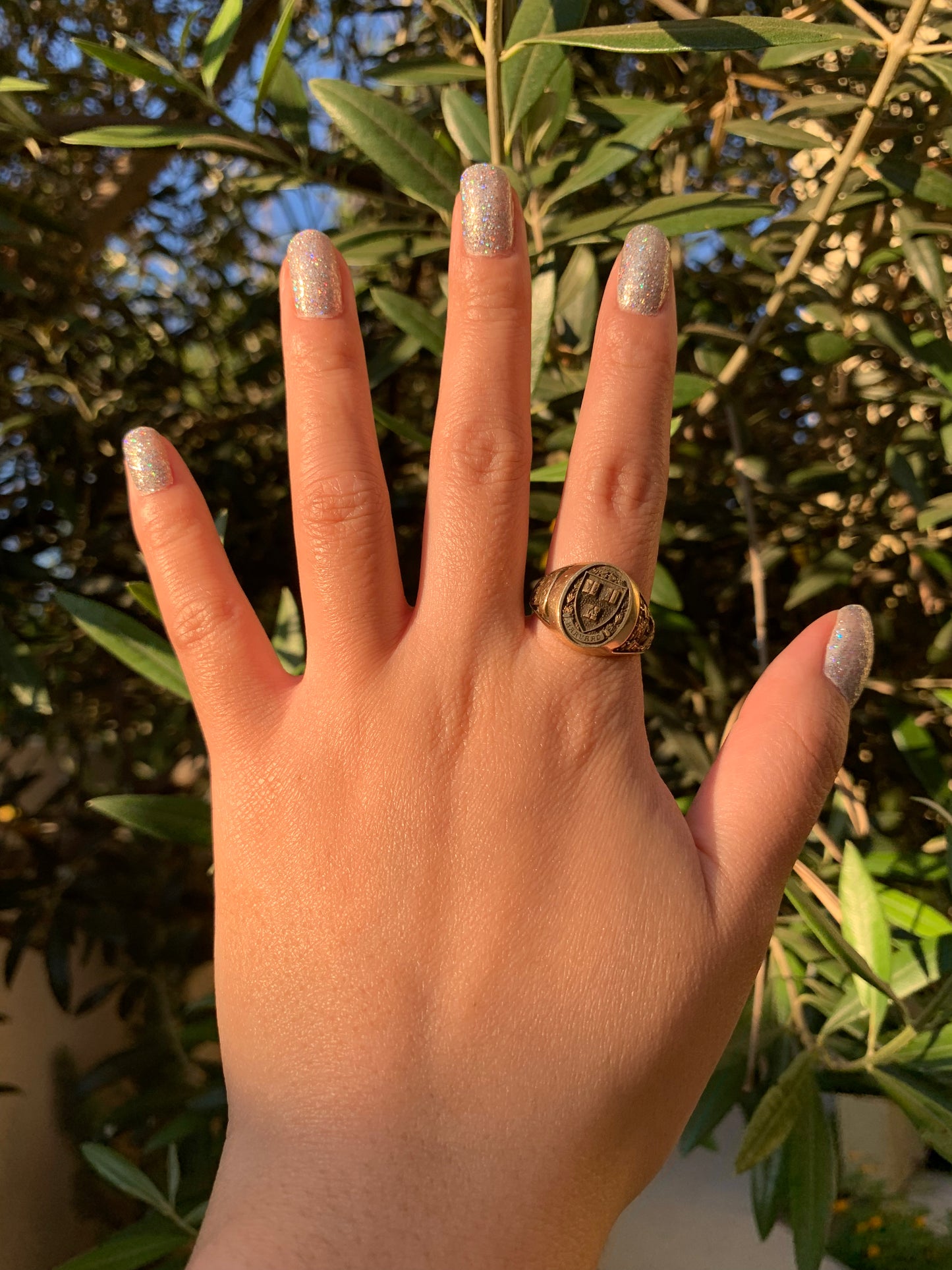 Harvard 14k yellow gold signet ring antique-finish (vintage, only one available)
