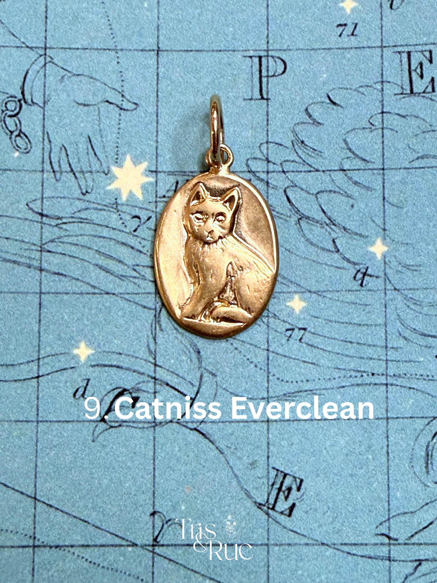 14k yellow gold Neko Medallion (First nine cats ready to ship)