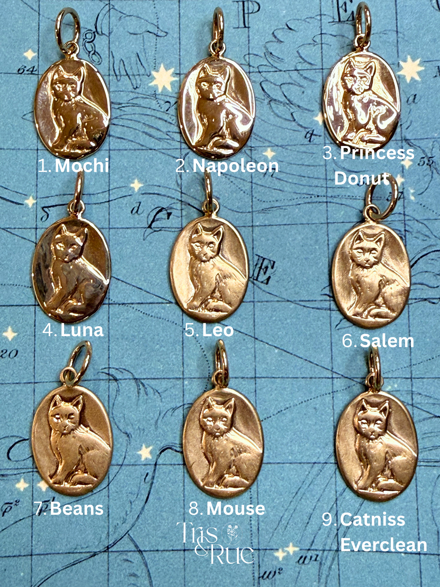 14k yellow gold Neko Medallion (First nine cats ready to ship)