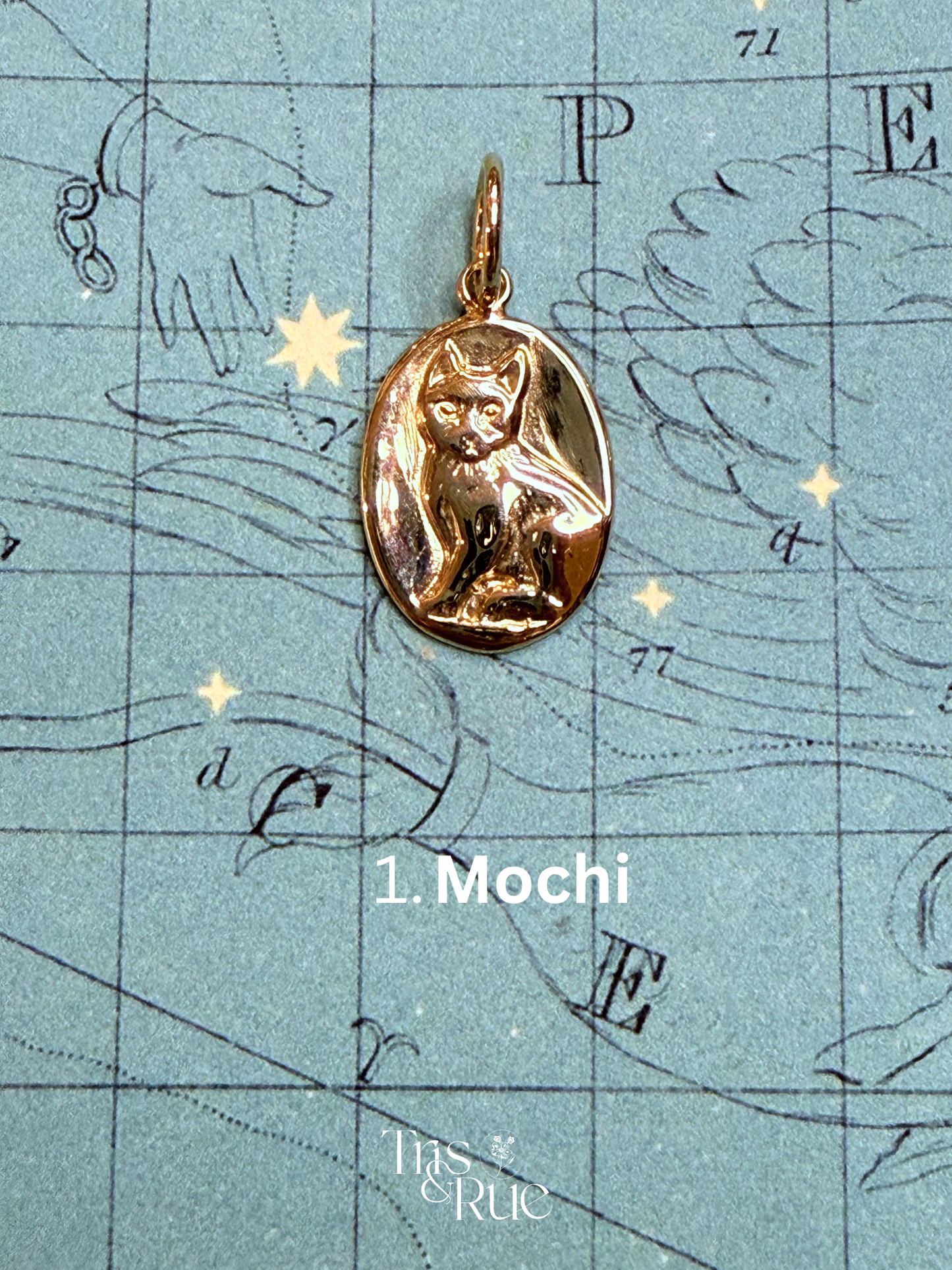 14k yellow gold Neko Medallion (First nine cats ready to ship)