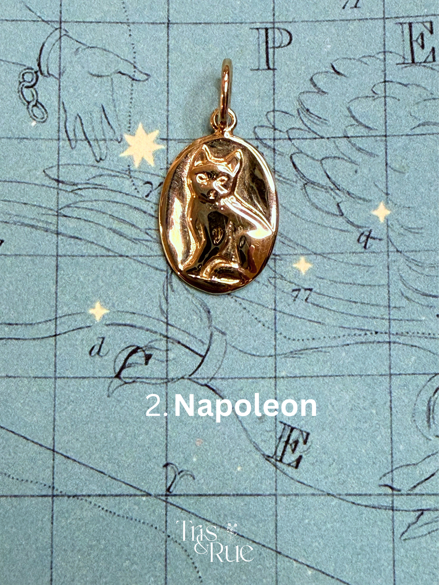 14k yellow gold Neko Medallion (First nine cats ready to ship)