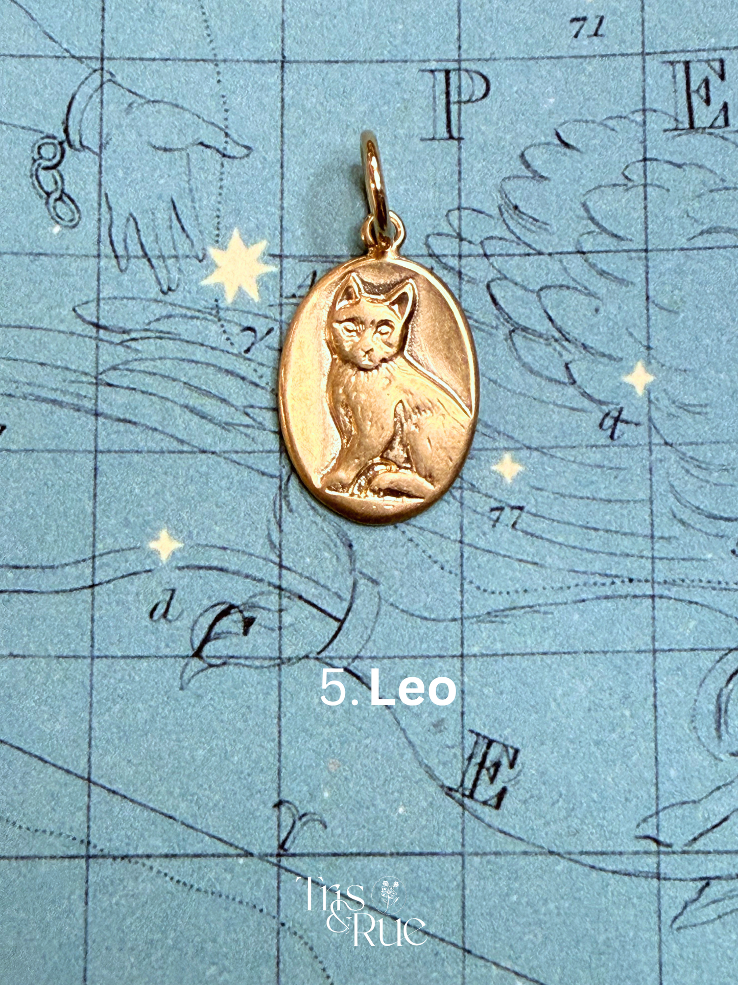 14k yellow gold Neko Medallion (First nine cats ready to ship)