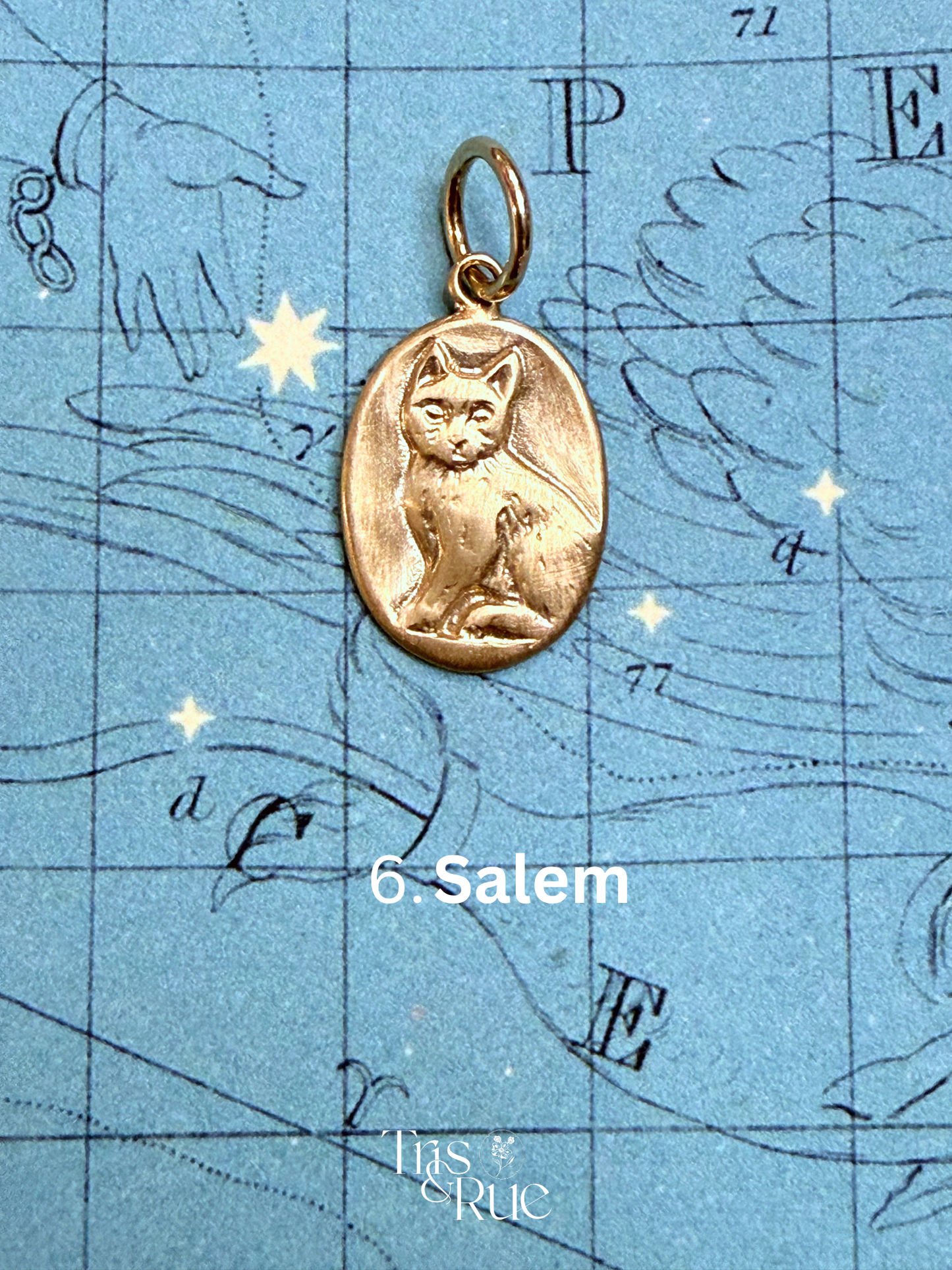 14k yellow gold Neko Medallion (First nine cats ready to ship)