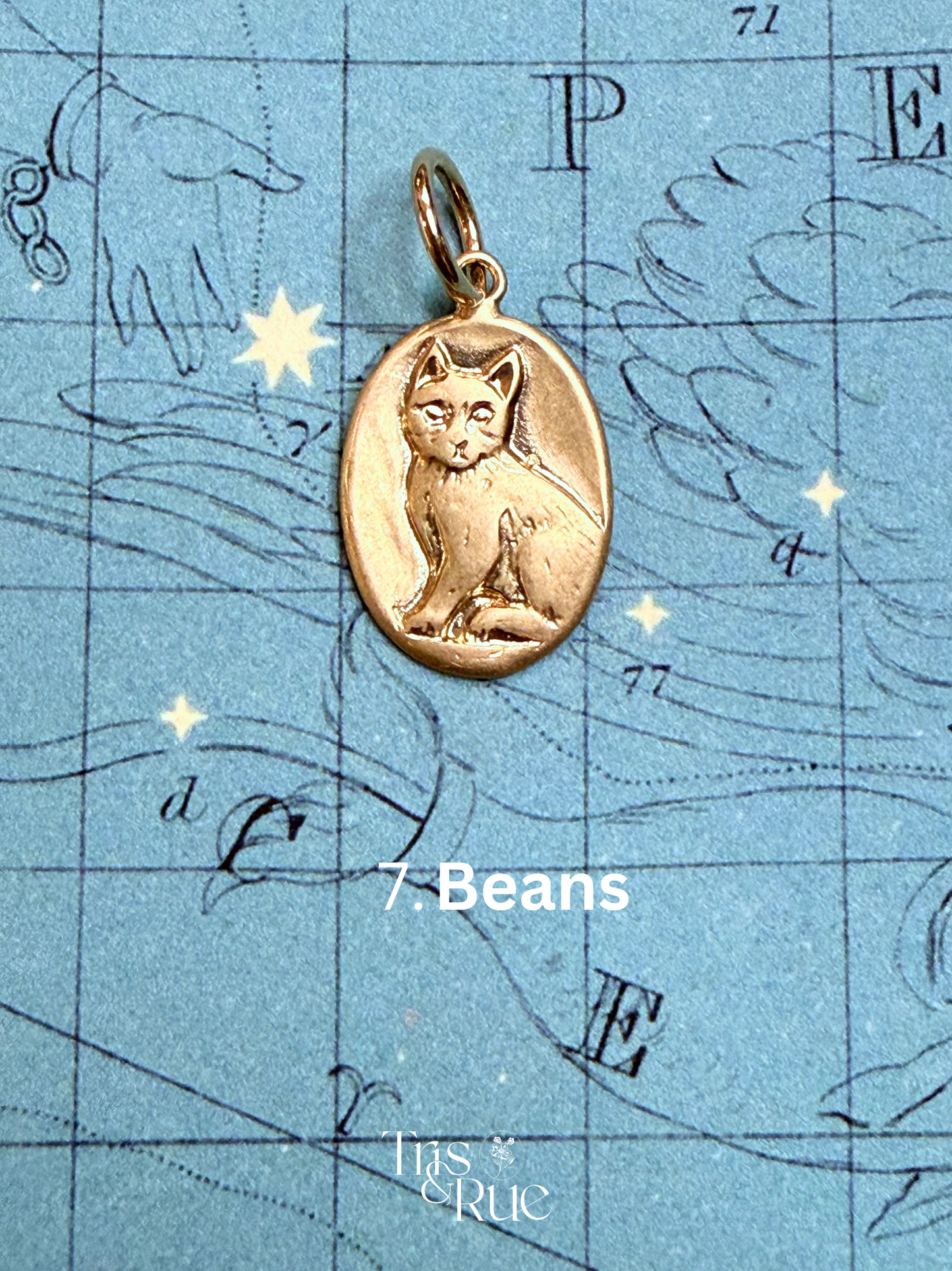 14k yellow gold Neko Medallion (First nine cats ready to ship)