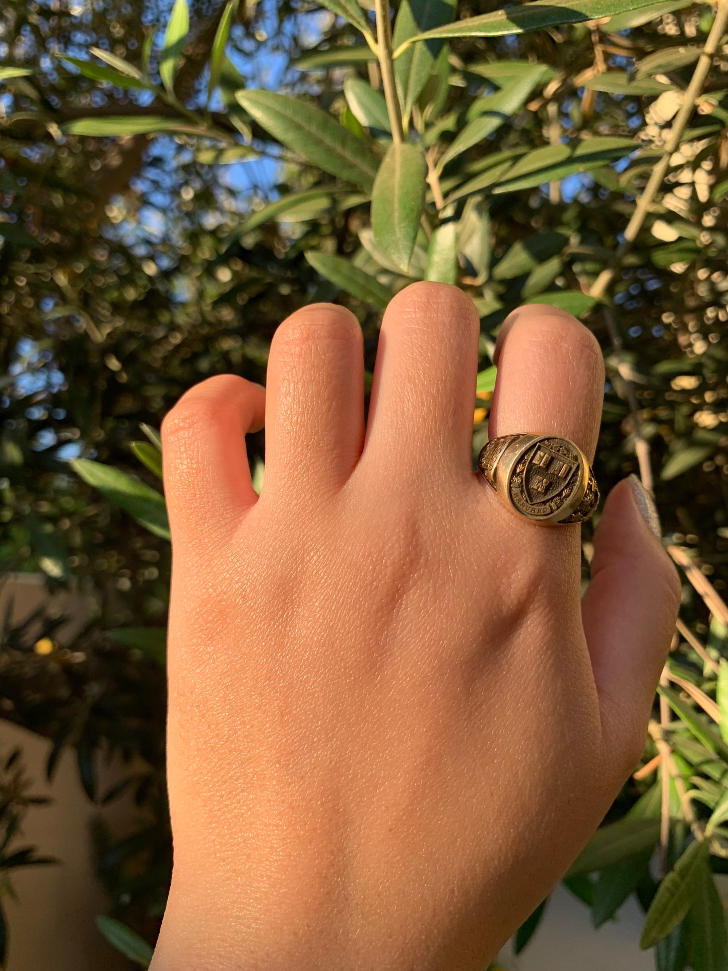 Harvard 14k yellow gold signet ring antique-finish